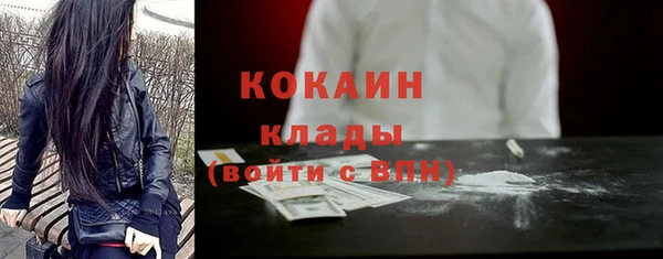 амф Липки