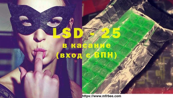 амф Липки