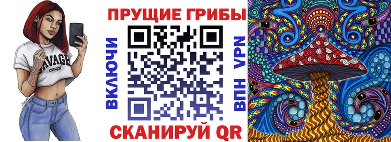 гидра ССЫЛКА  Спас-Клепики  Псилоцибиновые грибы мицелий 